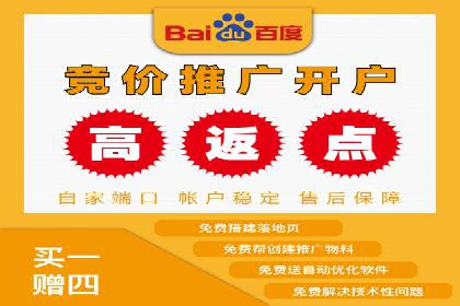 SEM竞价代运营公司案例深度解析